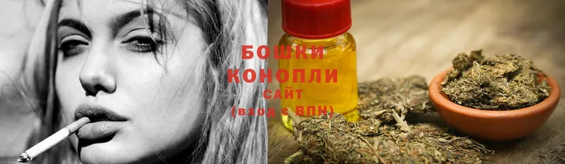 Конопля гибрид  Ессентуки 